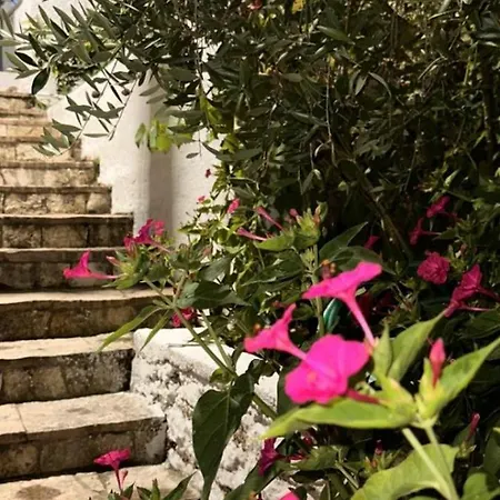 Bela Modern بيت للعطل